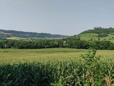 Área Rural para Venda, em Cristal do Sul, bairro Interior