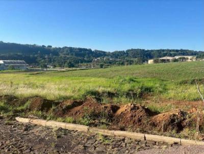 Terreno para Venda, em Erval Seco, bairro Centro