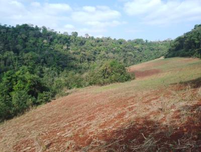 Chácara para Venda, em Seberi, bairro Interior