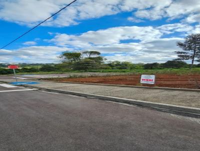 Terreno para Venda, em Frederico Westphalen, bairro PANOSSO