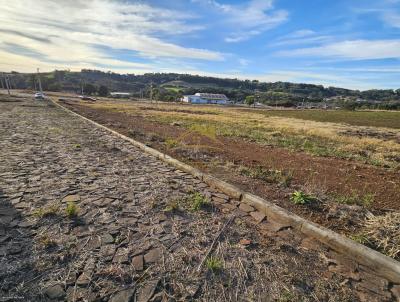 Terreno para Venda, em Erval Seco, bairro Centro