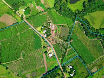 rea Rural para Venda, em Frederico Westphalen, bairro Interior, 3 dormitrios, 1 banheiro, 1 vaga