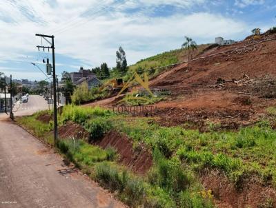 Terreno para Venda, em Frederico Westphalen, bairro PANOSSO