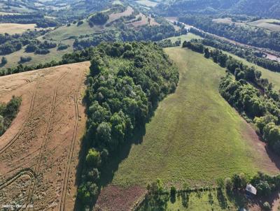 �rea Rural para Venda, em Cristal do Sul, bairro Interior